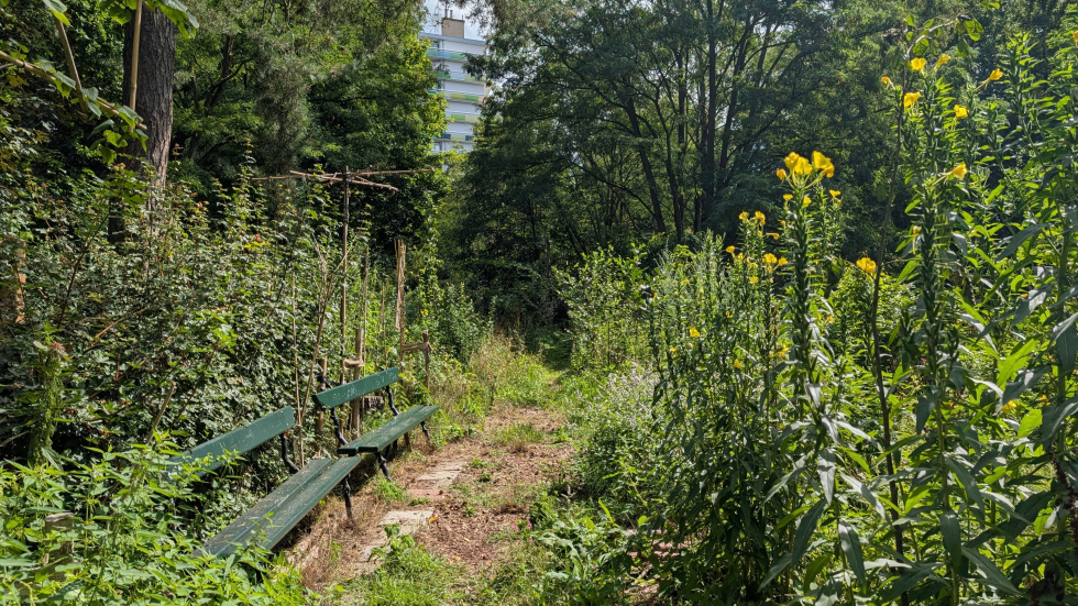 Voedselbos 't Volle Bos