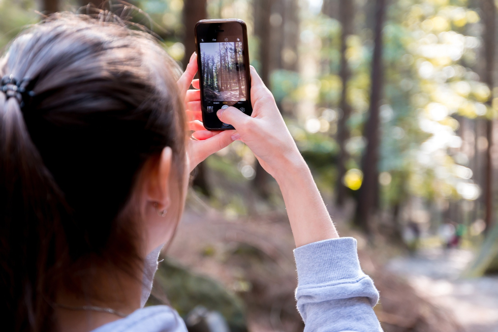 Vrouw die met haar telefoon een foto maakt van het bos