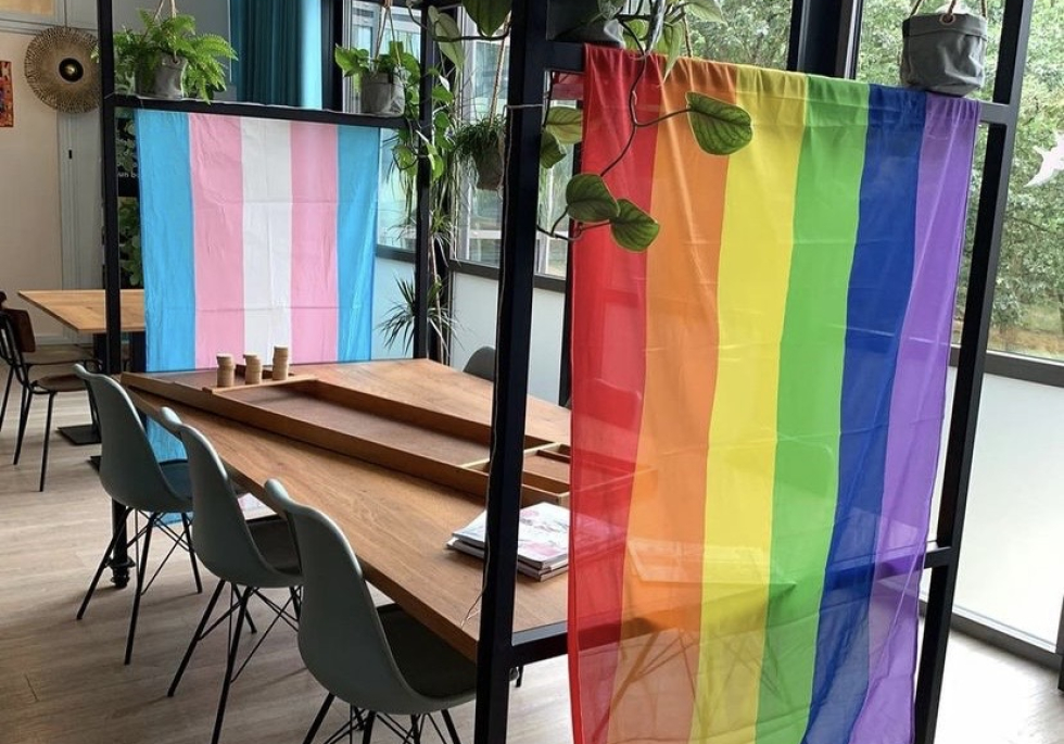 Regenboogvlag