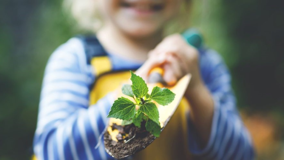 Een kind houdt een schep vast met aarde en een plantje