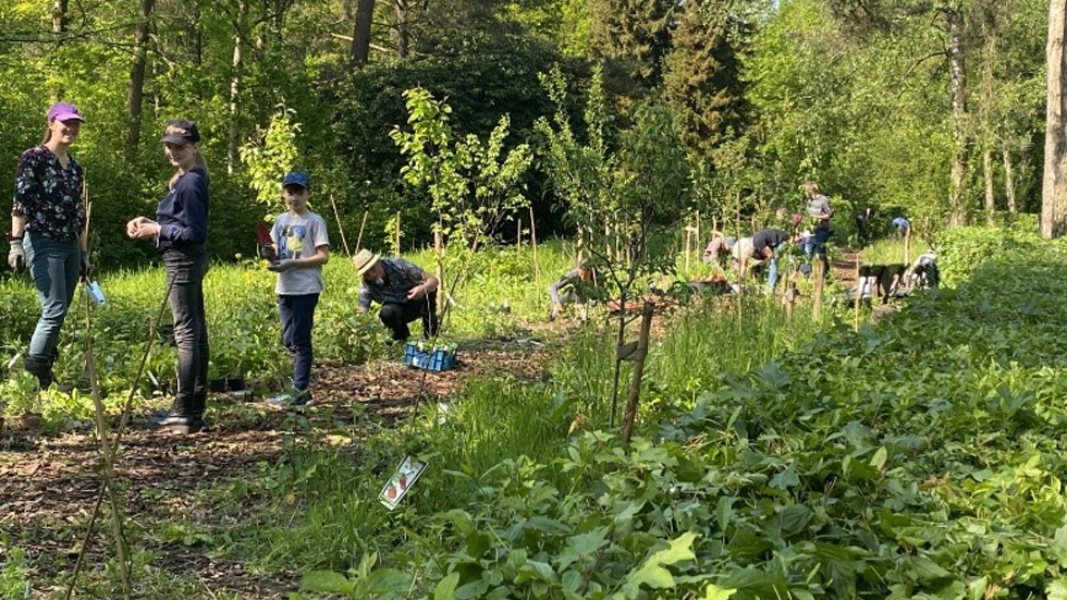 Een foto van een groepje mensen dat aan het werk is in het voedselbos